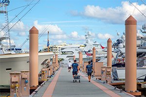 Reserve your slip at Palm Harbor Marina